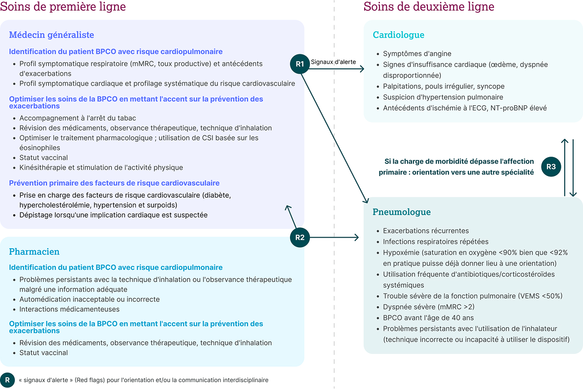 Illustration médicale d'un torse humain représentant la bronchopneumopathie chronique obstructive (BPCO).