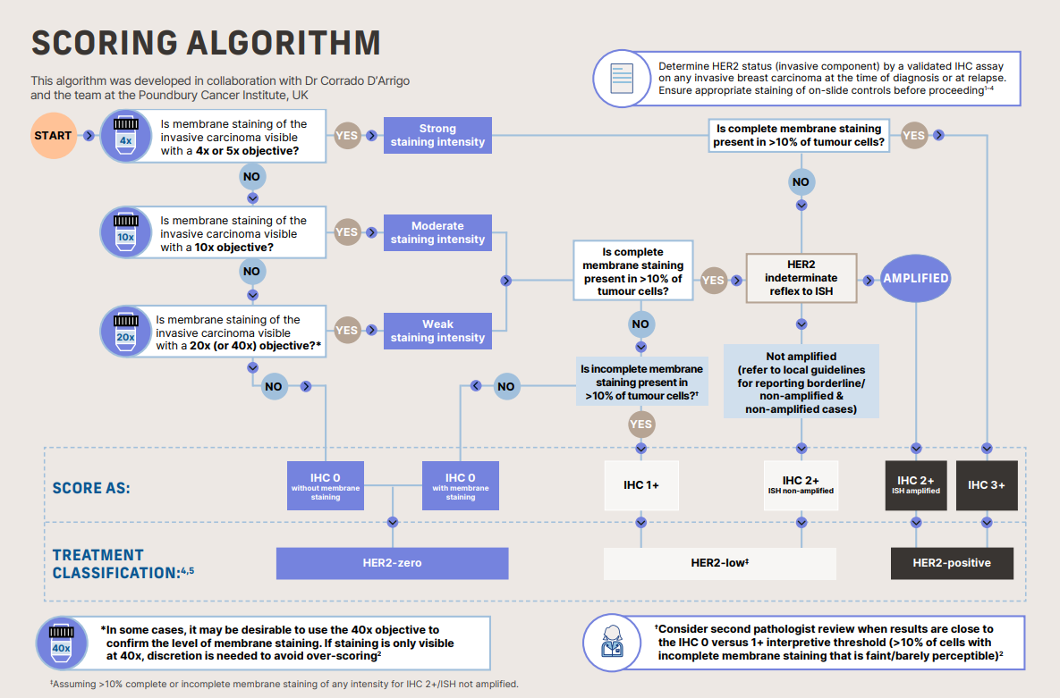 Chart4