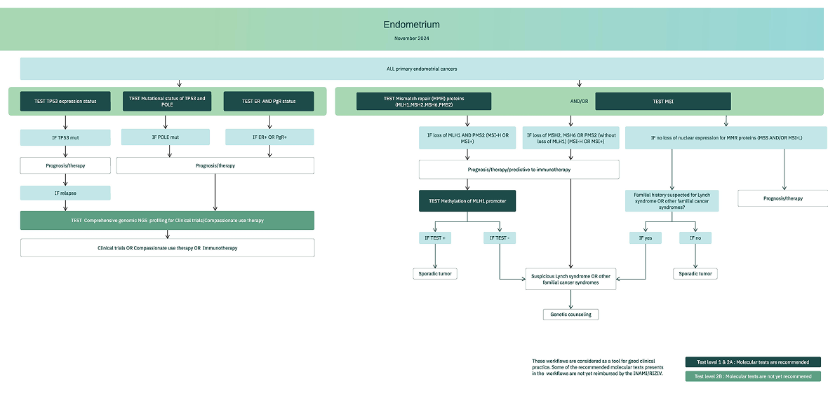 Endocancer figure 1