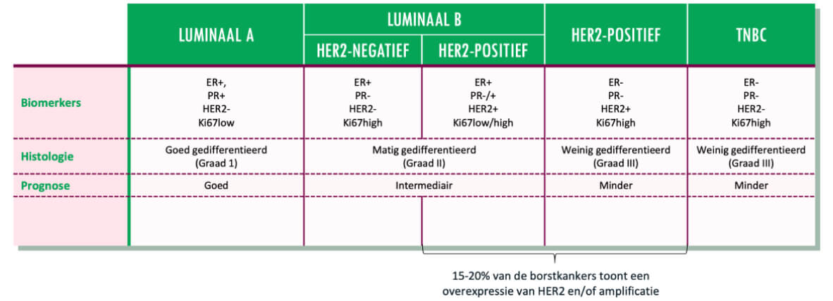 Chart1